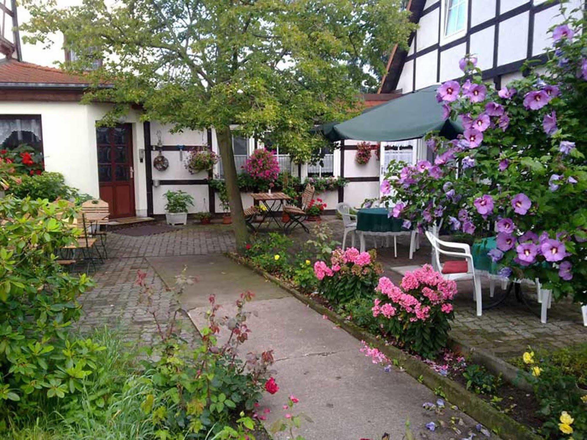 Pension Am Stadtrand Zerbst Dış mekan fotoğraf
